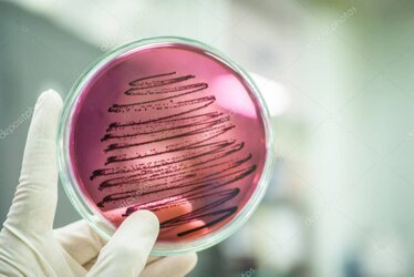 Effets spéciaux sécuritaires avec étincelles froides